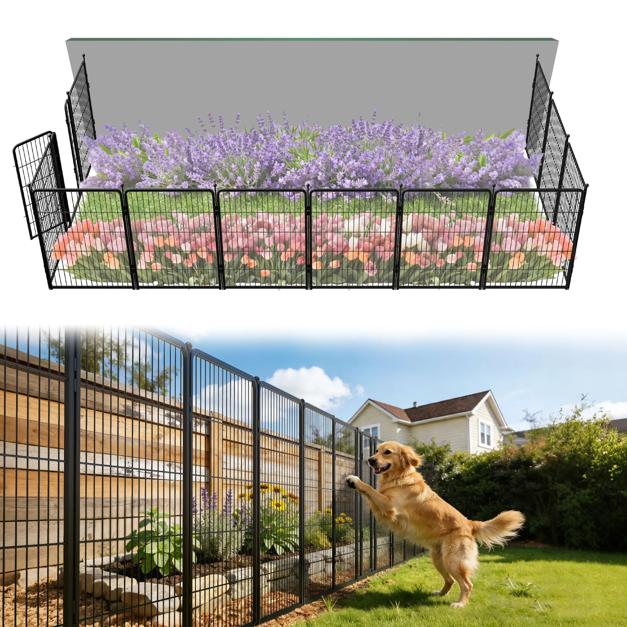 Product image 66