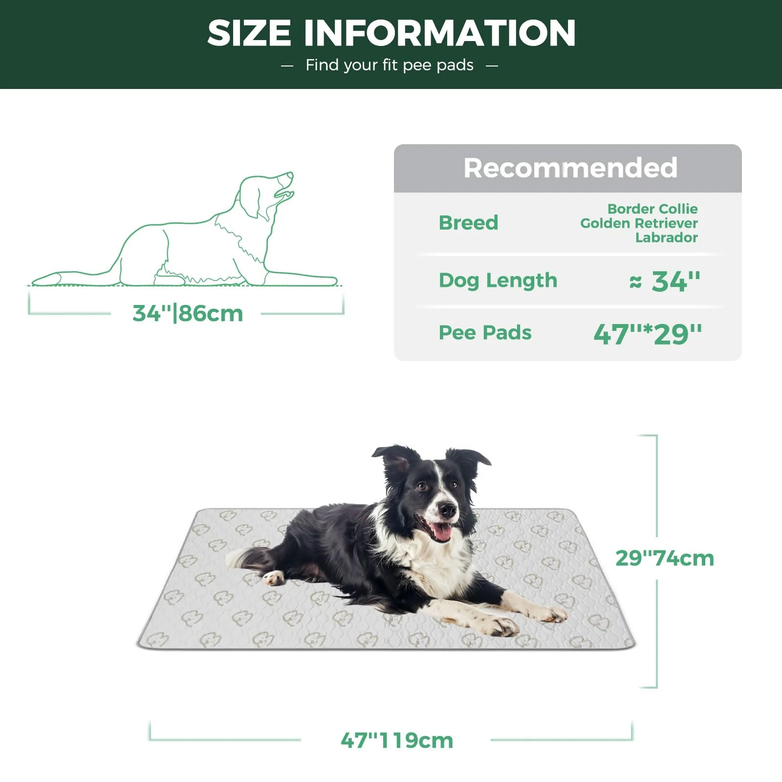 Product image 101